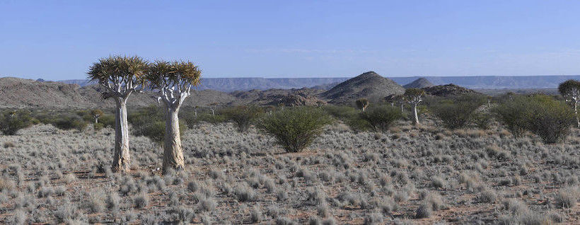 Hotel Tutwa Desert Lodge 10