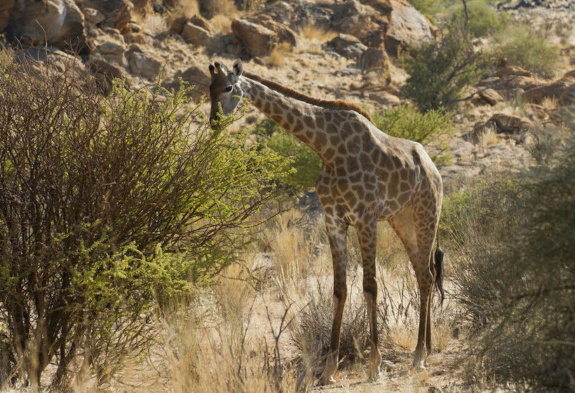 Hotel Tutwa Desert Lodge 20