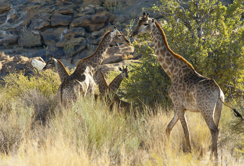 Hotel Tutwa Desert Lodge 6