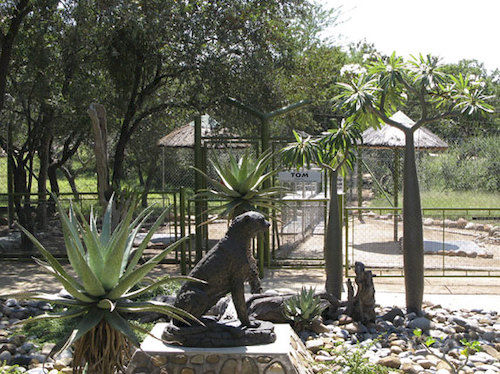 Hoedspruit Endangered Species Centre 11