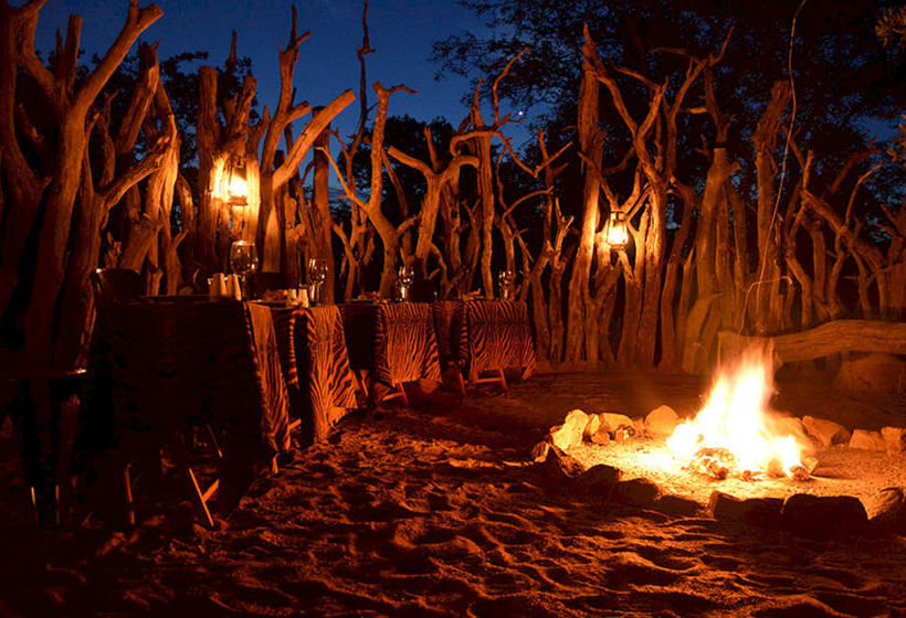 Hoedspruit Endangered Species Centre 4