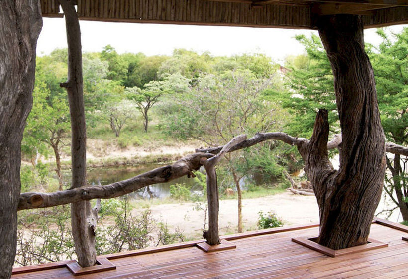 Hoedspruit Endangered Species Centre 6