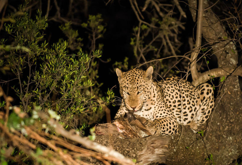 Hotel Maninghi Lodge 14