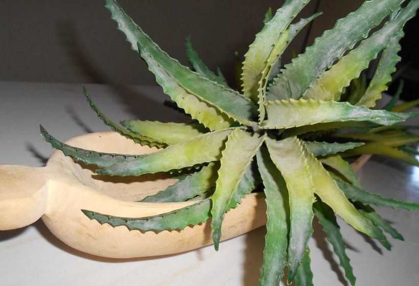 Burgundy Luxury Apartments 16