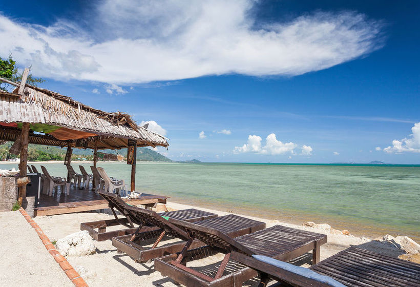 Hotel Cosy Bungalows 19