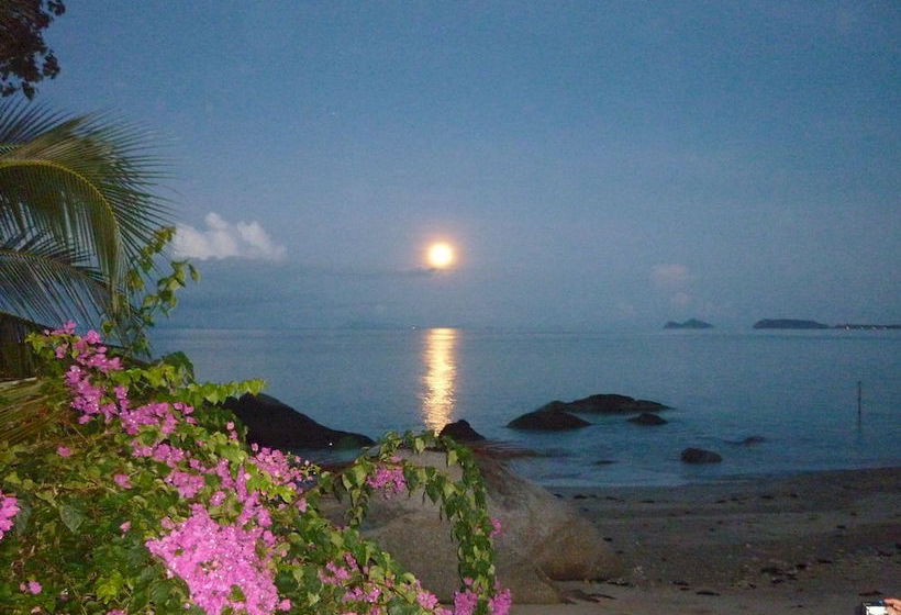 Pension Thong Yang Bungalow 1