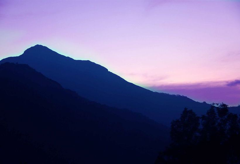 Hotel Green Trees Munnar 12