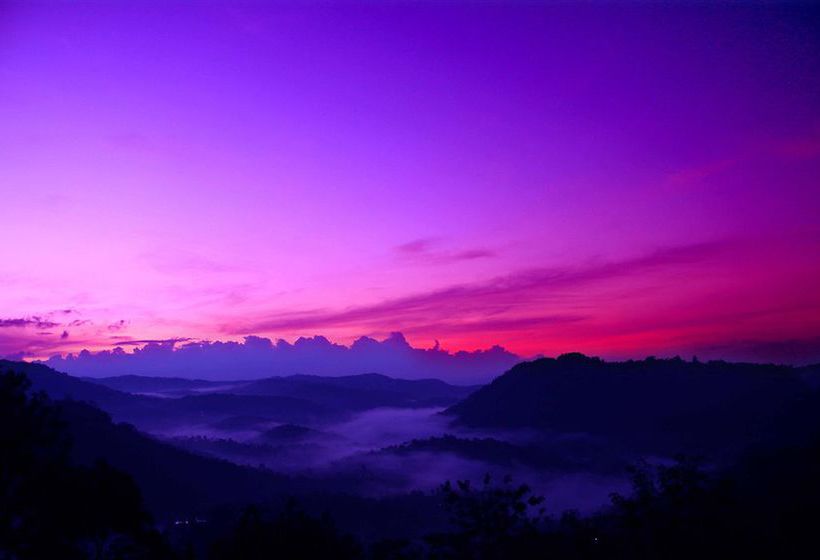 Hotel Green Trees Munnar 13