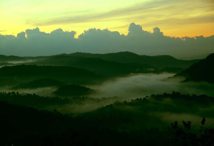 Hotel Green Trees Munnar 14