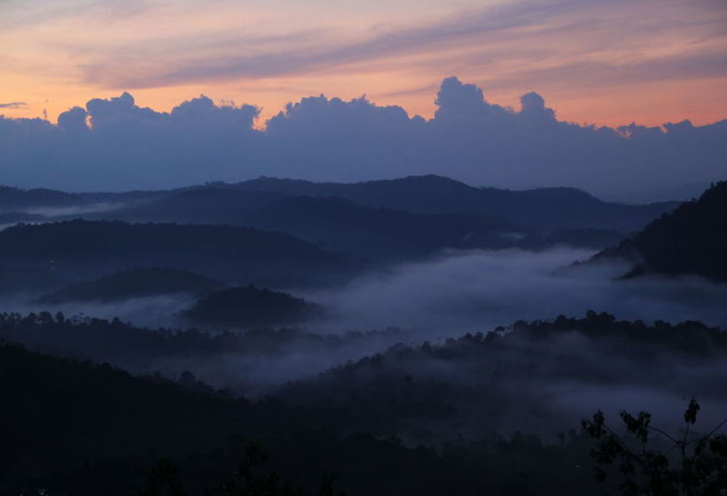Hotel Green Trees Munnar 20