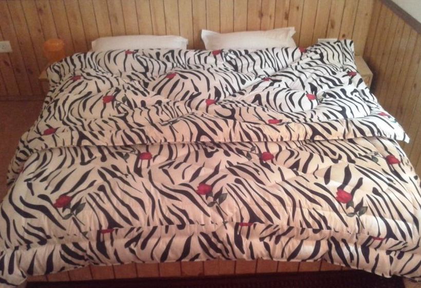 Pension Ladakh Continental 7