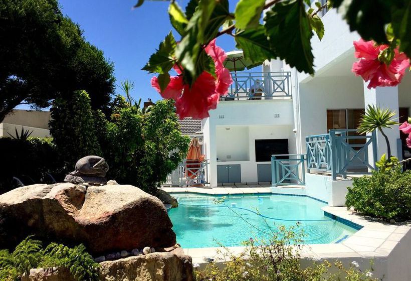 Pensión 5 Options - Guest House 4