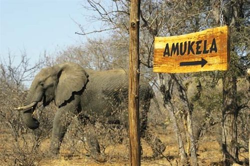 Hotel Ku Sungula Safari Lodge 13