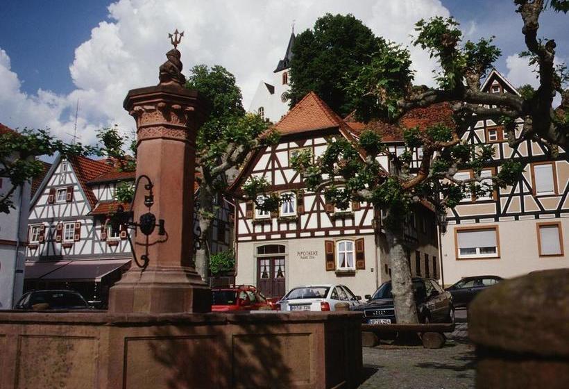 Hotel Zur Bergstrasse Garni 5