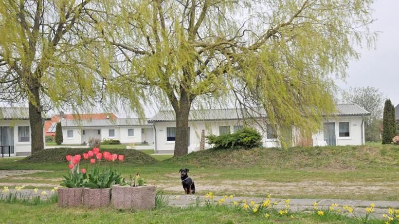 Hotel Ostsee Windmühle 4