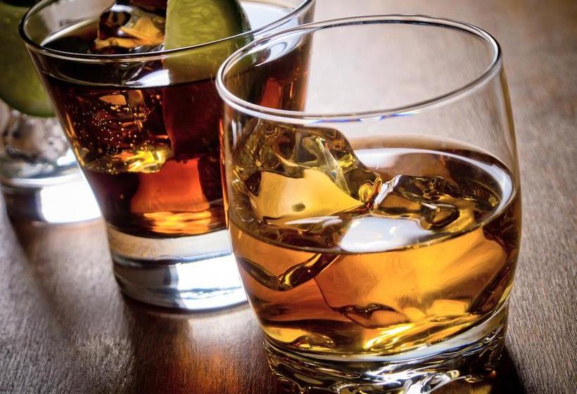 Hotel Lindenhof 1887 9