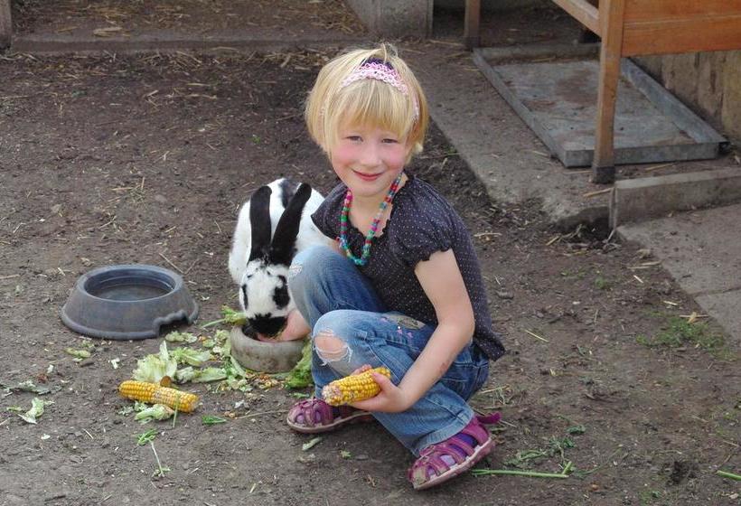 Landhotel Heidekrug 14