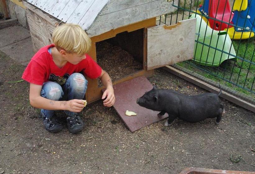 Landhotel Heidekrug 15