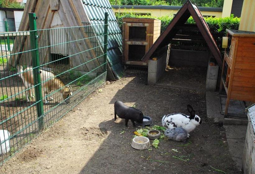 Landhotel Heidekrug 16