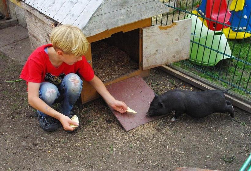 Landhotel Heidekrug 17