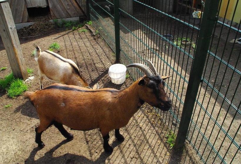 Landhotel Heidekrug 18