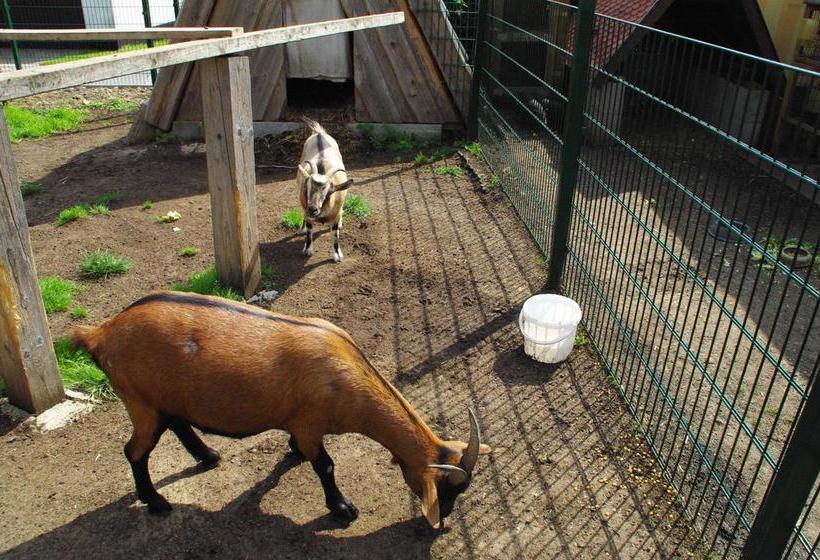 Landhotel Heidekrug 19