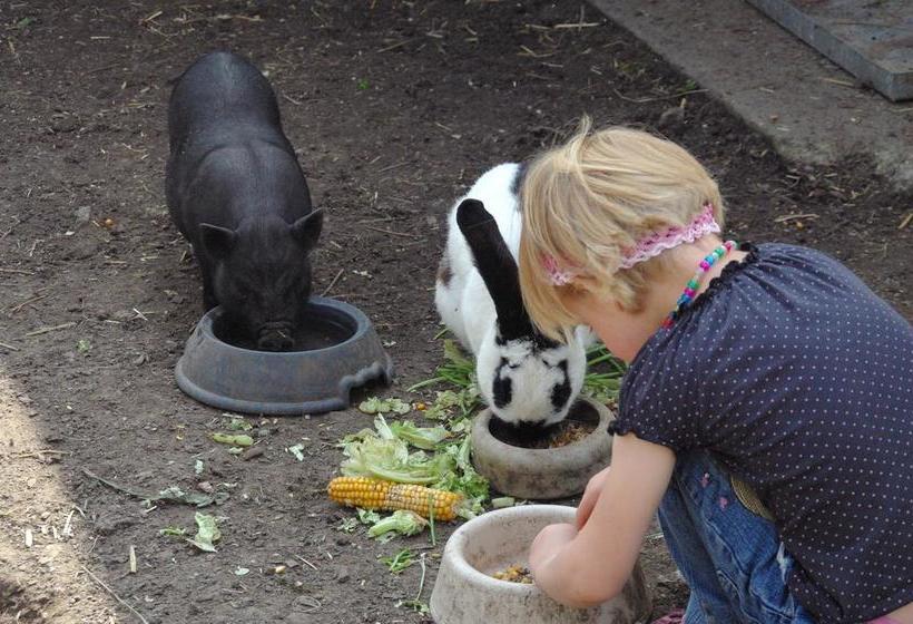 Landhotel Heidekrug 20