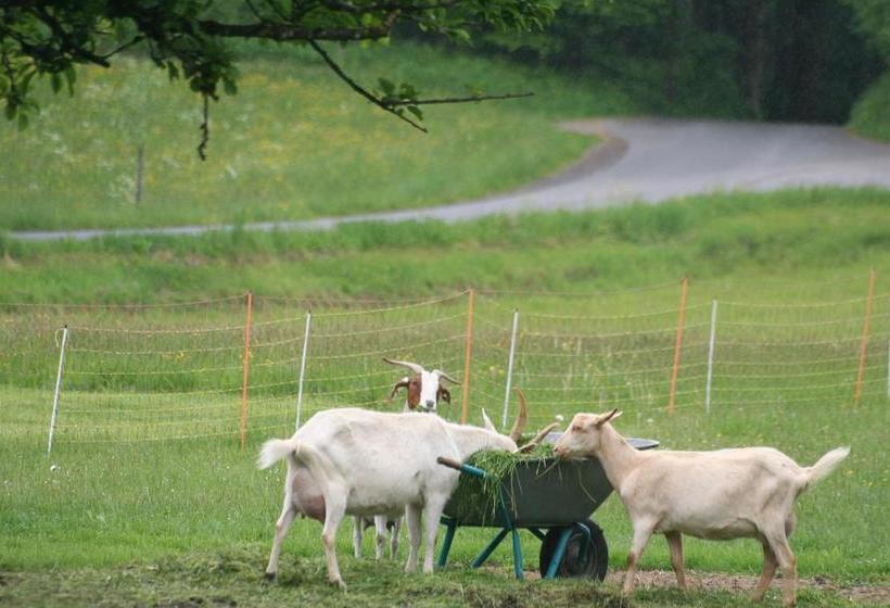 Hotel Adam & Eva Gasthof Paradies 3