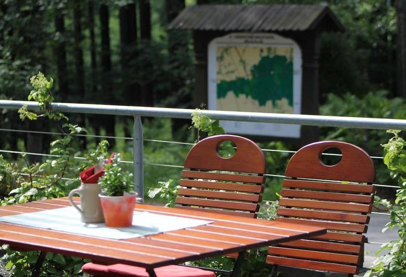 Hotel Bergwirtschaft Bieleboh 2