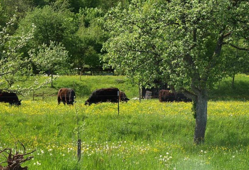 Gasthaus & Hotel Beim Rinderwirt 10