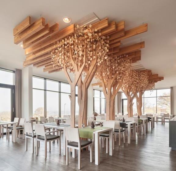 Hotel Globetrotter Lodge 7