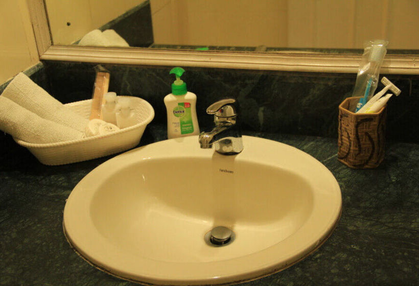 Hotel Swiss Cottage 4