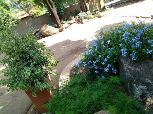 Pension At Four Guest House Brits 19