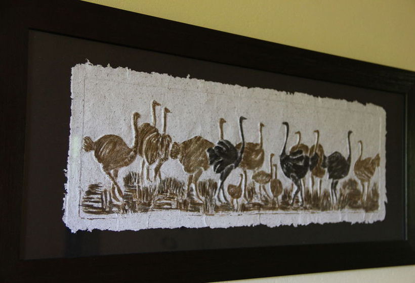 Pension The Gumtree Guesthouse 15