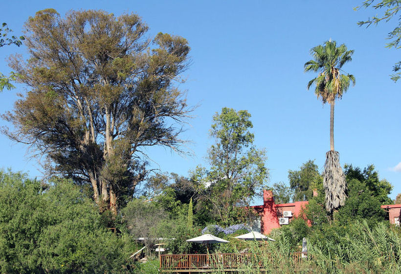 Pension The Gumtree Guesthouse 9