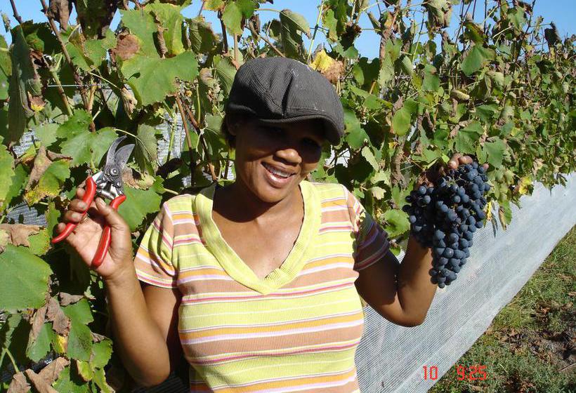 De Doornkraal Historic Country House Boutique 20