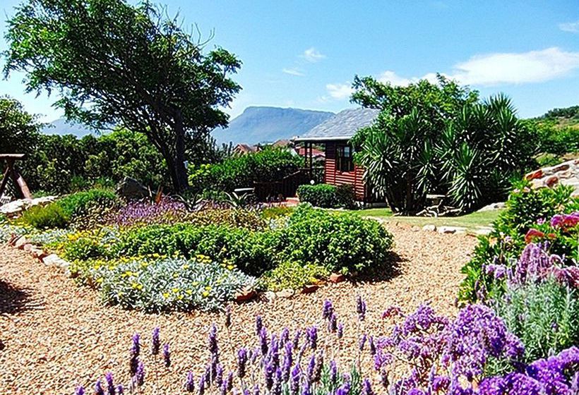 Pensión Makapa Lodge 17