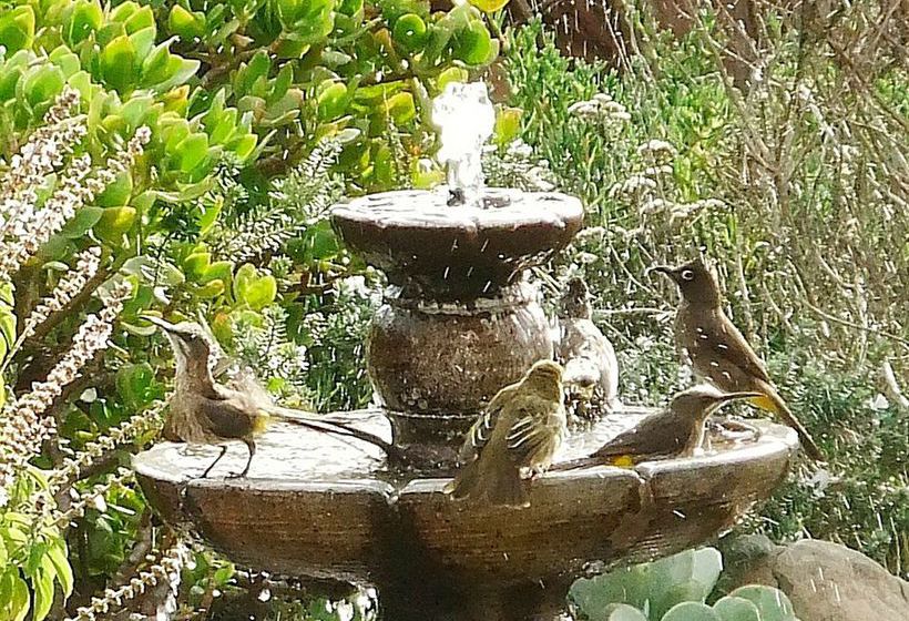 Pensión Makapa Lodge 19