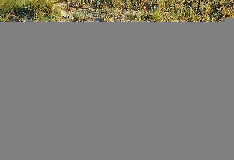 Pensión Makapa Lodge 20