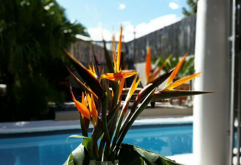 Pension Jardin D'ébène Boutique Guesthouse 16