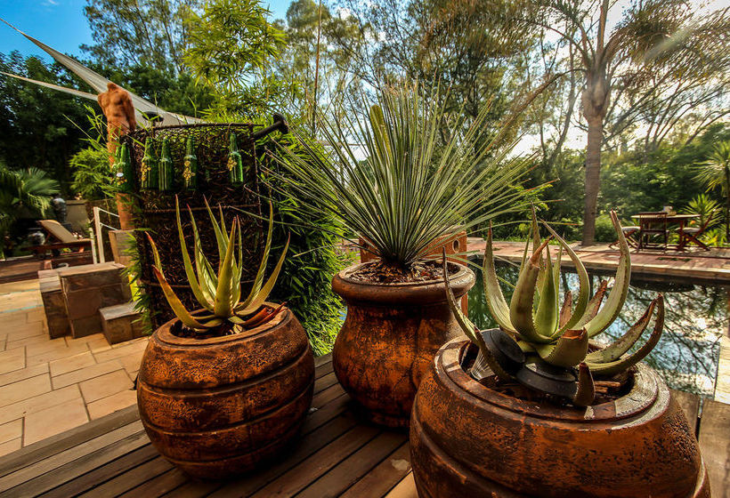 Pension Twin Waters Guest House 14