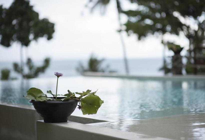 Hotel Nest Sense Resort 7