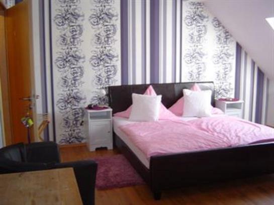 Hôtel Gasthof Wilder Mann 1