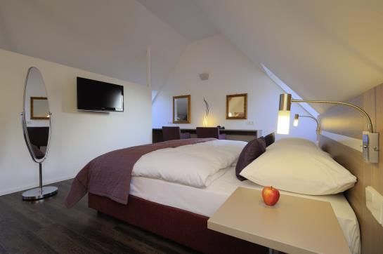 Hotel Hofgut Sternen Goethehaus 12