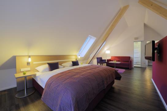 Hotel Hofgut Sternen Goethehaus 20