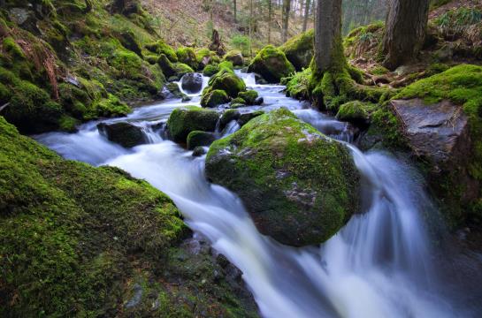 Hotel Hofgut Sternen Goethehaus 7