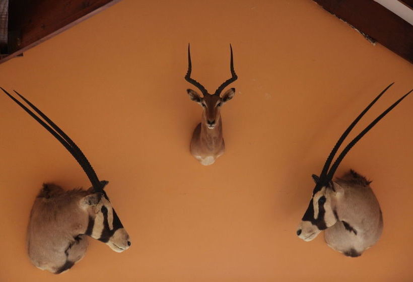 Pension Lili Bush Guesthouse 1