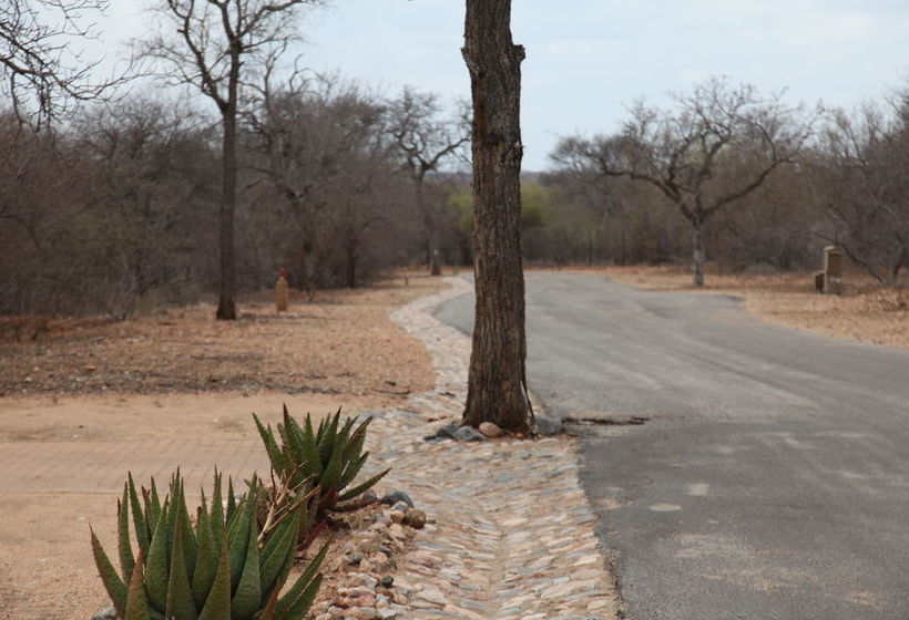 Pension Lili Bush Guesthouse 18