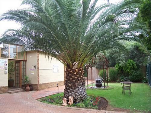 Bed and Breakfast Angels Haven 7