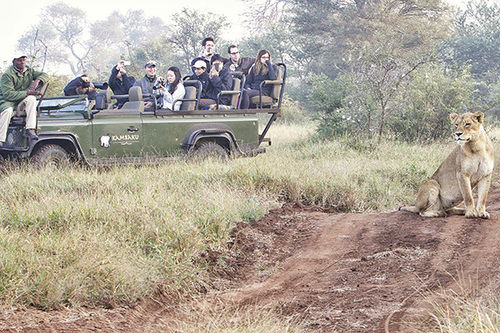 Hotel Kambaku River Sands 7